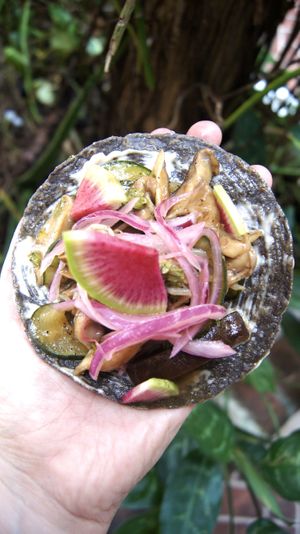 Tostada de aguachile negro  at Umi Vegan  in Playa Del Carmen