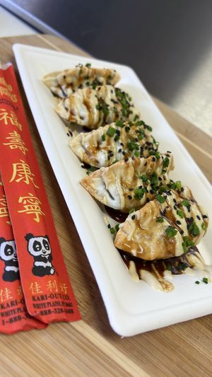 You won't believe how tasty these veggie gyozas are until you try them. at Pacha Roots in Miami