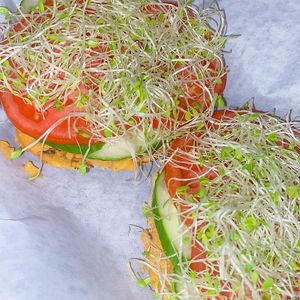 vegan red pepper hummus open-faced sandwich. at The Bagel Bar Cafe in Kutztown