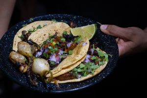   at Vegan Spot by Revolution in Playa Del Carmen