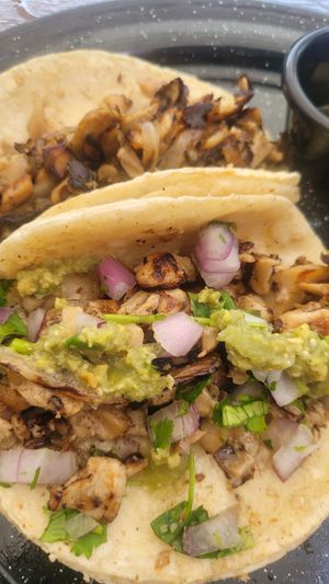 Carnitas de setas... deliciosas at Vegan Spot by Revolution in Playa Del Carmen