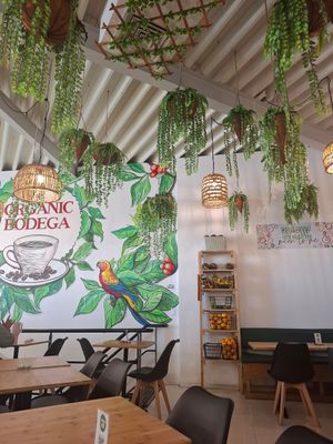  at Organic Bodega Cafe in Oranjestad