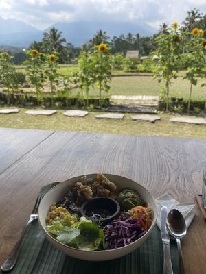 Views  at Nadi Farm Cafe in Tabanan
