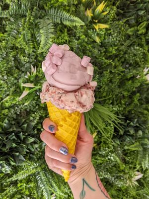 Palma violet and cherry at Lick in Bakewell