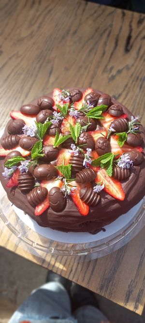 Vegan Chocolate Cake  at Roots Cafe in Perranporth