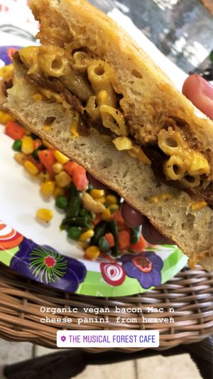 Delicious food and the owner couldn’t be nicer! So worth stopping by  at The Musical Forest Cafe in North Haven