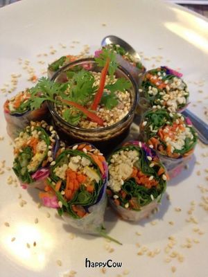 spring rolls at Brown Rice Organic Bistro in Chiang Mai