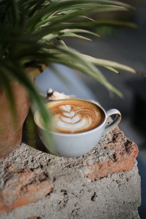 Cappuccino (Oat, soy and coconut milk available) at PLAN B Weligama in Weligama