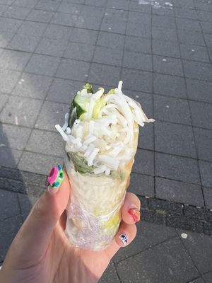 spring roll  at Hoi Anh in Utrecht