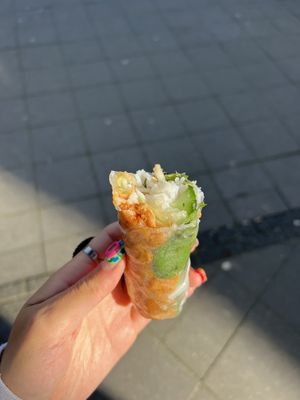 spring roll  at Hoi Anh in Utrecht