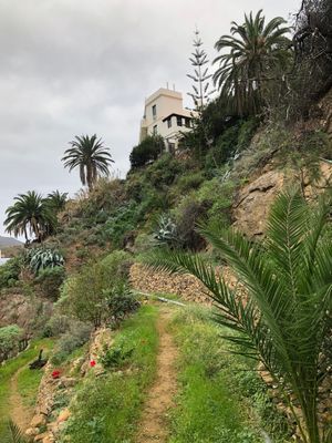 view from the garden belonging to the hotel (work in progress😄) at Hotel Anaterve in La Gomera