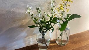  at Wasonichinichi - 和想日々 in Kyoto