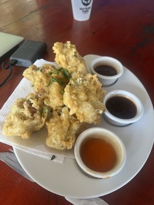   at Driftwood Hostel in El Paredon