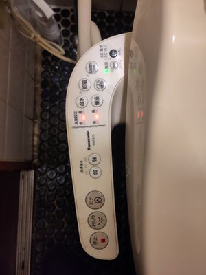 Real fancy japanese Toilet, have fun 😉 at Restaurant  Namaste -レストラン ナマステ  in Kyoto