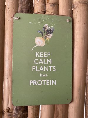 interior facts  at Grow Vegan in Koh Samui