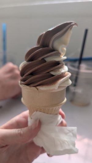 Mixed choco vanilla ice cream at Vegan Way Cafe in Probolinggo