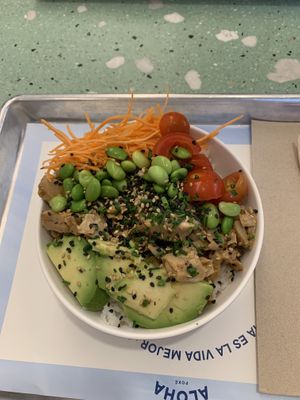 no chicken run poke  at Aloha Poké in Salamanca