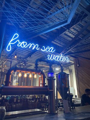   at Tulum Cerveceria in Tulum