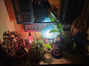  at Ranchos Cocina in San Diego