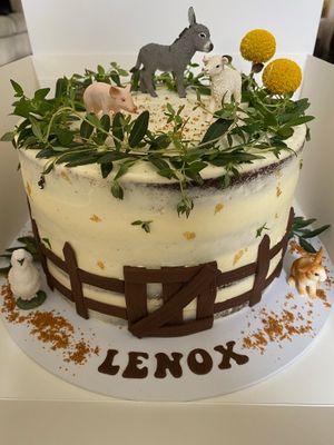 Chocolate rescue farm cake! at Purely Scrumptious in Portsmouth