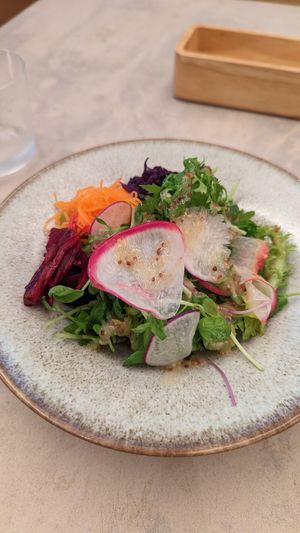 Side salad at Cafe Gallery Sun 燦 in Kyoto