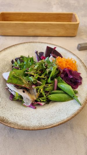 Side salad to all sandwiches at Cafe Gallery Sun 燦 in Kyoto