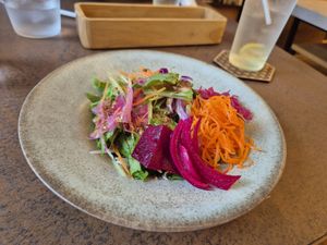 Appetizer salad at Cafe Gallery Sun 燦 in Kyoto