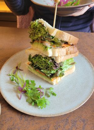 Avocado sando at Cafe Gallery Sun 燦 in Kyoto