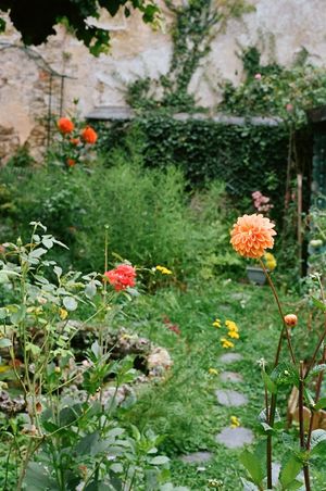 Garden in full bloom at Le Relais du Chien Bleu - Vegan B&B in the Lot Valley in Capdenac-gare