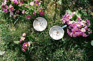 Fancy some tasty dessert? Here it's a vegan cream with candied oranges and dark chocolate. at Le Relais du Chien Bleu - Vegan B&B in the Lot Valley in Capdenac-gare