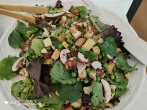  at Pianta in Brussels