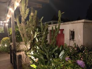 Garden at Essencia in Porto