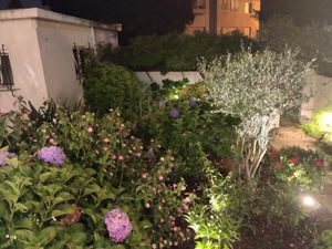 Garden at Essencia in Porto