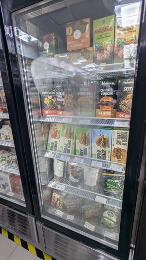 Vegan Burger Patties at Organa Miraflores in Lima