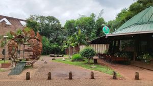 Greenery at Wicz Bar in Puerto Iguazu