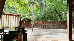Open seating at Wicz Bar in Puerto Iguazu