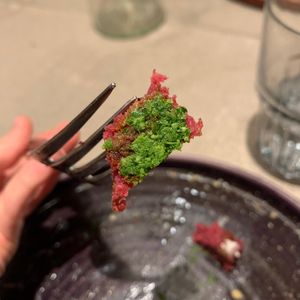  at Shastlivetsa Vitoshka - Ресторант Щастливеца Витошка in Sofia