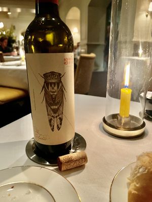   at Charleston Grill in Charleston