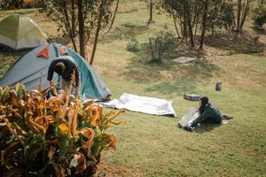 Zona de Camping, con servicio de baño. at Casa Madre Raiz  in Sotaquira