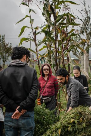 Huerta Orgánica at Casa Madre Raiz  in Sotaquira