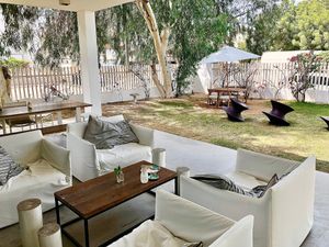 The gardens  at The 100 Café in Dubai