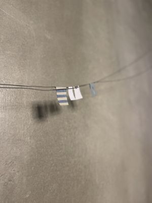   at Café Lumos in Cologne