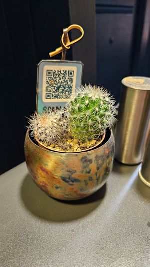  at Manipura in Tenerife