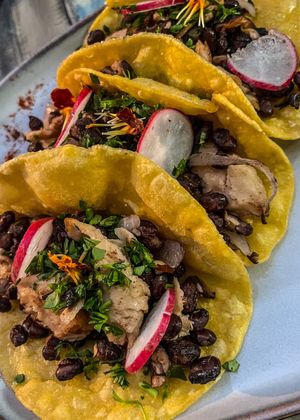 Tacos (jackfruit was not available, these were with nochicken)  at Manipura in Tenerife