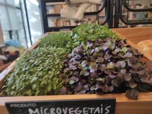 Micro vegetais at Quintal Bioshop in Porto
