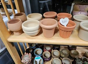 Flower pots at Hella Plants Market in Oakland