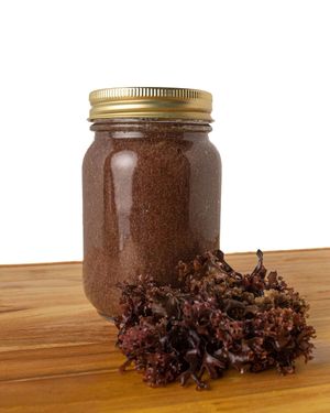 Purple Chondrus Crispus at YOL Juice Market in Decatur