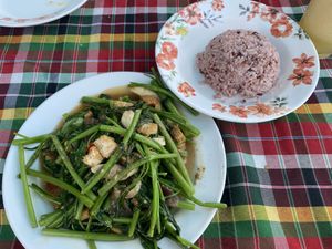 Morning Glory with Tofu and Rice at On's Thai Isaan in Kanchanaburi