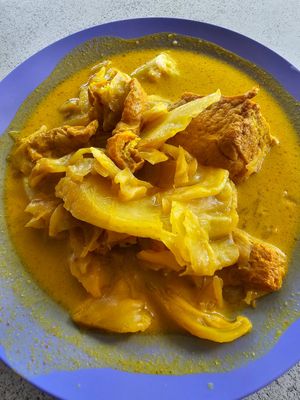 Lontong at Jia Jia Vegetarian 佳佳素食 - Pioneer in West Singapore