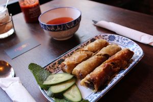 Vegan fried spring rolls at Ngon  in Newcastle Upon Tyne